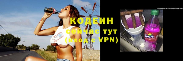 стаф Гусев