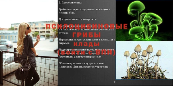 ешки Вяземский