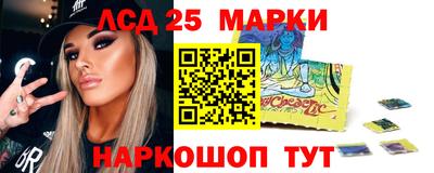 мдпв Бийск