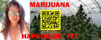 мдпв Бийск