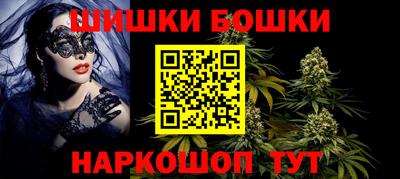 мдпв Бийск