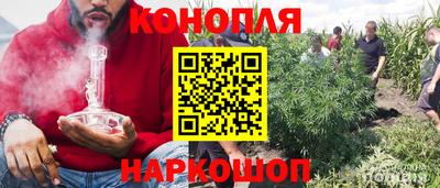 Альфа ПВП Беслан