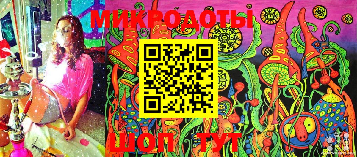 Псилоцибиновые грибы Psilocybe  Вход с VPN  Губкин 