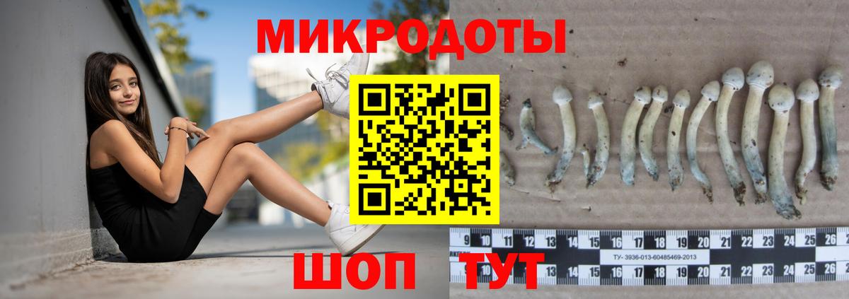 Псилоцибиновые грибы Psilocybine cubensis Губкин